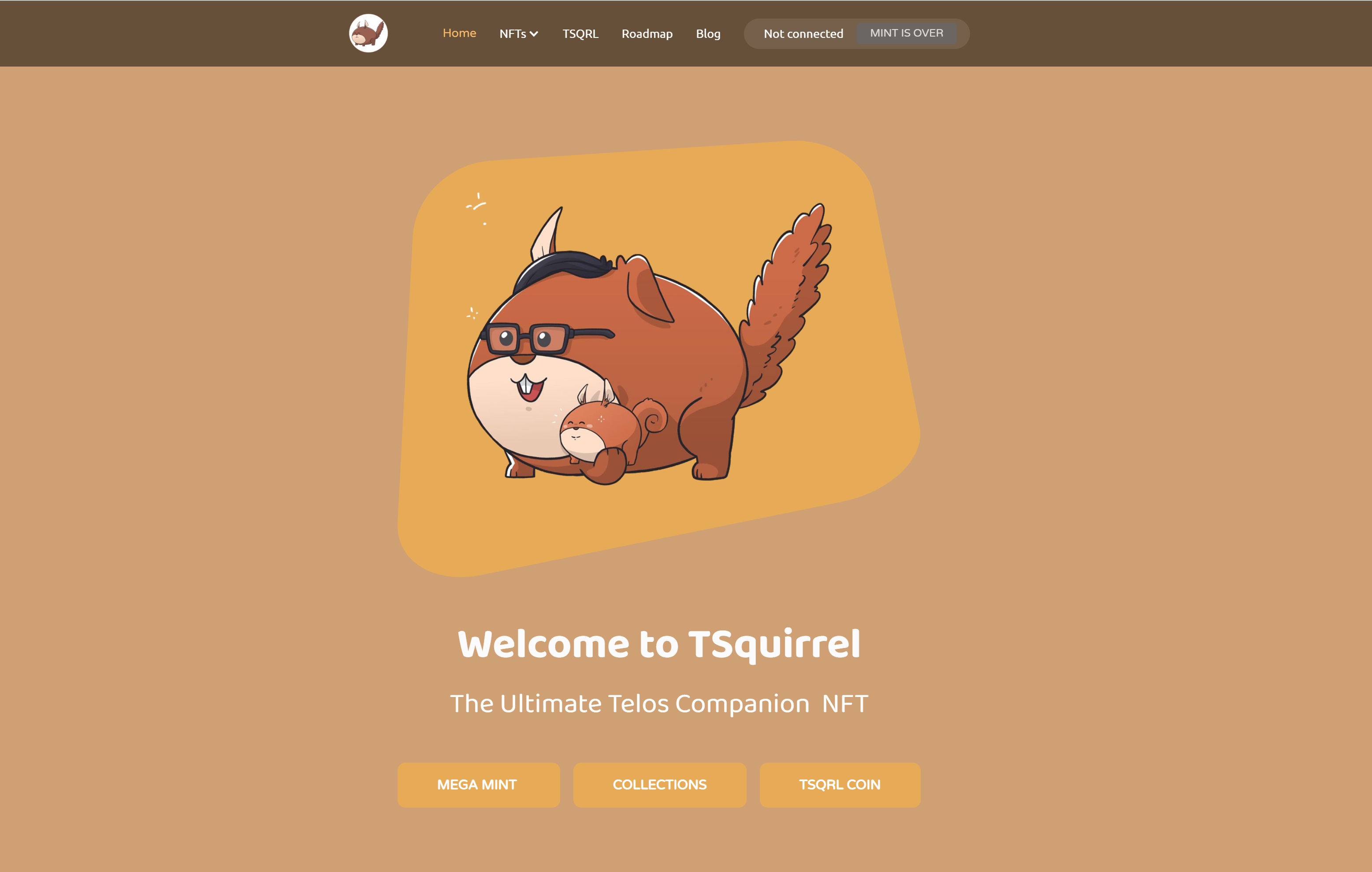 TSquirrel NFT